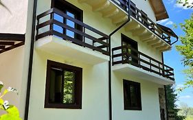 Cabana din Pădure